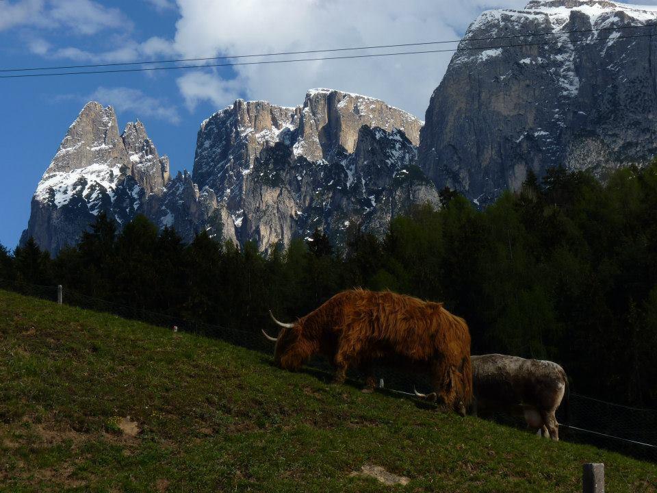 Gasthof Albergo Kreuzwirt Fie allo Sciliar Luaran gambar